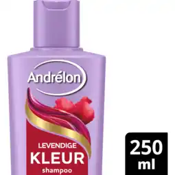 Jumbo Andrélon Shampoo Levendige Kleur 250 ml aanbieding