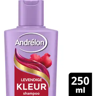 Jumbo Andrélon Shampoo Levendige Kleur 250 ml aanbieding