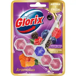 Jumbo Glorix Aromalux Toiletblok Wild Berries & Hibiscus Oil 1 stuk aanbieding