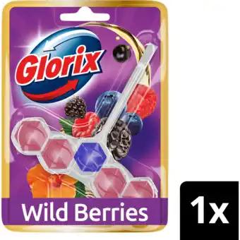 Jumbo Glorix Aromalux Toiletblok Wild Berries & Hibiscus Oil 1 stuk aanbieding