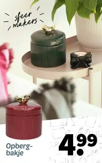 Wibra Opberg- bakje aanbieding