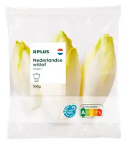 PLUS PLUS Witlof verpakt aanbieding