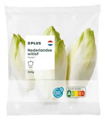 PLUS PLUS Witlof verpakt aanbieding