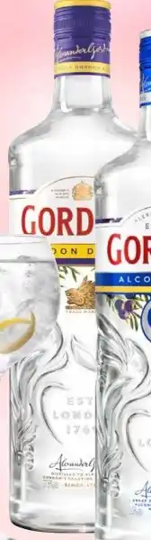 Mitra Gordon's London Dry Gin aanbieding