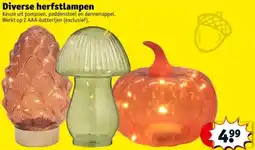 Kruidvat Diverse herfstlampen aanbieding
