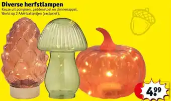 Kruidvat Diverse herfstlampen aanbieding