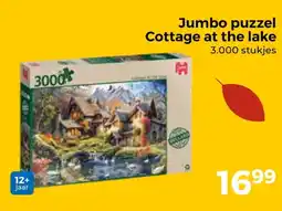 Trekpleister Jumbo puzzel Cottage at the lake aanbieding