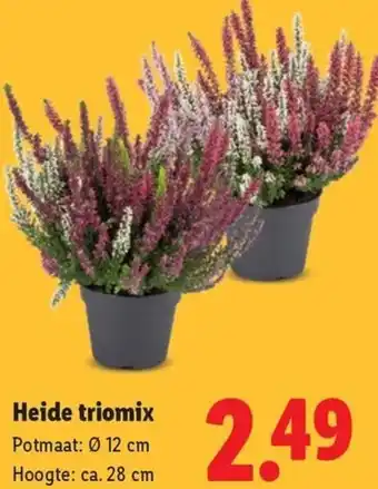 Lidl Heide triomix aanbieding