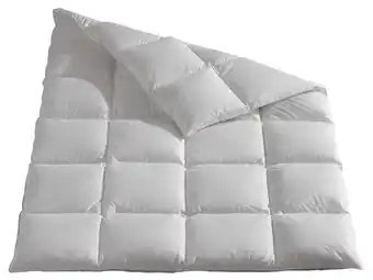 Lidl HÄUSSLING Donzen cassette dekbed warm aanbieding