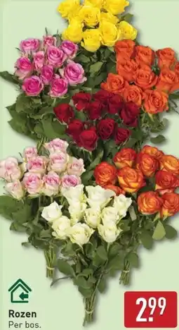 ALDI Rozen aanbieding