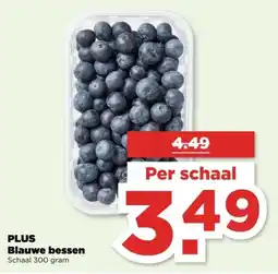 PLUS Plus Blauwe Bessen aanbieding