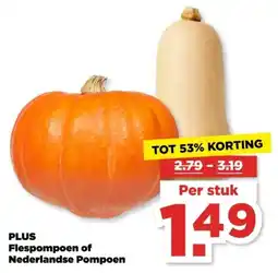 PLUS Plus Flespompoen of Nederlandse Pompoen aanbieding