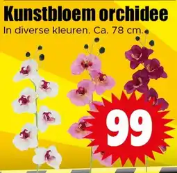 Dirk Kunstbloem orchidee aanbieding