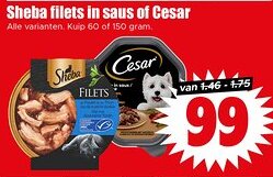 Dirk Sheba filets in saus of Cesar aanbieding