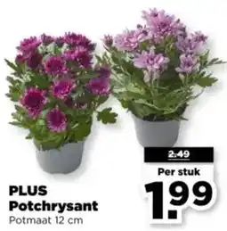 PLUS Plus Potchrysant aanbieding