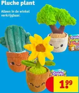 Kruidvat Pluche plant aanbieding