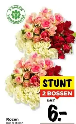 Vomar Voordeelmarkt Rozen aanbieding