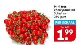 Hoogvliet Mini tros cherrytomaten aanbieding