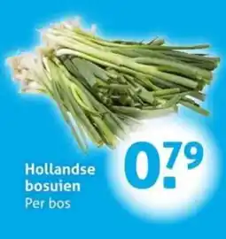 Hoogvliet Hollandse bosuien aanbieding