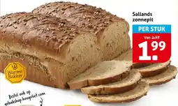Hoogvliet Sallands zonnepit aanbieding