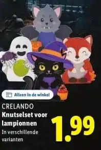 Lidl Knutselset voor lampionnen aanbieding