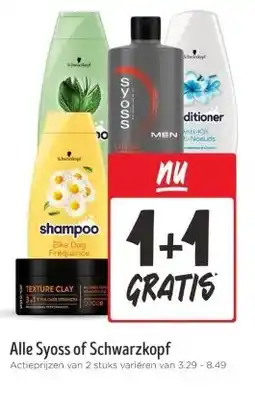 Jumbo Alle Syoss of Schwarzkopf aanbieding
