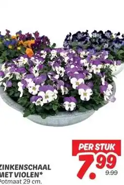 Dekamarkt ZINKENSCHAAL MET VIOLEN* aanbieding