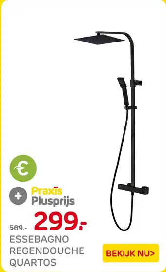 Praxis Essebagno regendouche quartos aanbieding