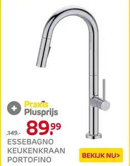 Praxis Essebagno keukenkraan portofino aanbieding