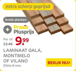 Praxis Laminaat gala, montmelo of vilano aanbieding