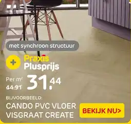 Praxis Cando pvc vloer visgraat create aanbieding