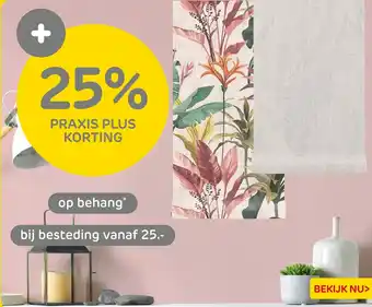 Praxis Op behang aanbieding