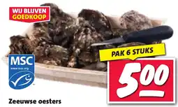 Nettorama Zeeuwse oesters aanbieding