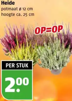 Poiesz Heide aanbieding