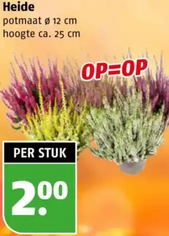 Poiesz Heide aanbieding