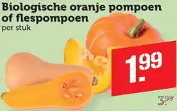 Dagwinkel Biologische oranje pompoen of flespompoen aanbieding