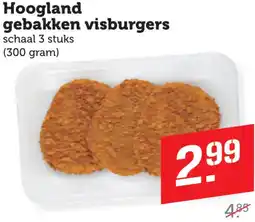 Dagwinkel Hoogland gebakken visburgers aanbieding
