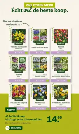 Welkoop Alle Welkoop biologische bloembollen aanbieding