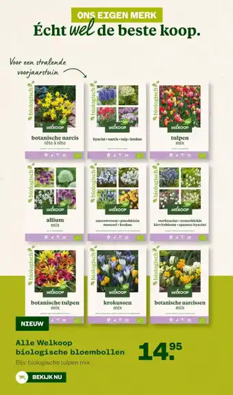 Welkoop Alle Welkoop biologische bloembollen aanbieding