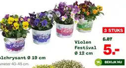 Welkoop Violen Festival aanbieding