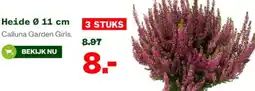 Welkoop Heide aanbieding