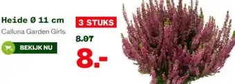 Welkoop Heide aanbieding
