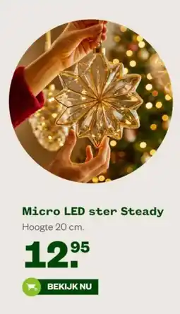 Welkoop Micro LED ster Steady aanbieding