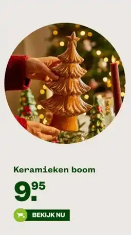 Welkoop Keramieken boom aanbieding
