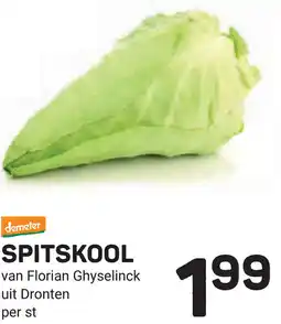 Ekoplaza Spitskool aanbieding