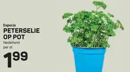 Ekoplaza Especia Peterselie op pot aanbieding