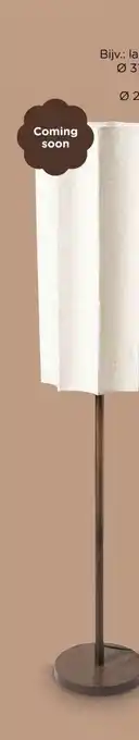 Xenos Alle verlichting aanbieding