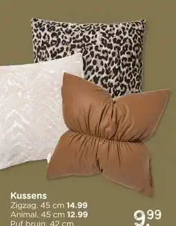 Xenos Kussens aanbieding