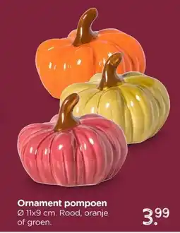 Xenos Ornament pompoen aanbieding