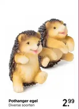 Xenos Pothanger egel aanbieding